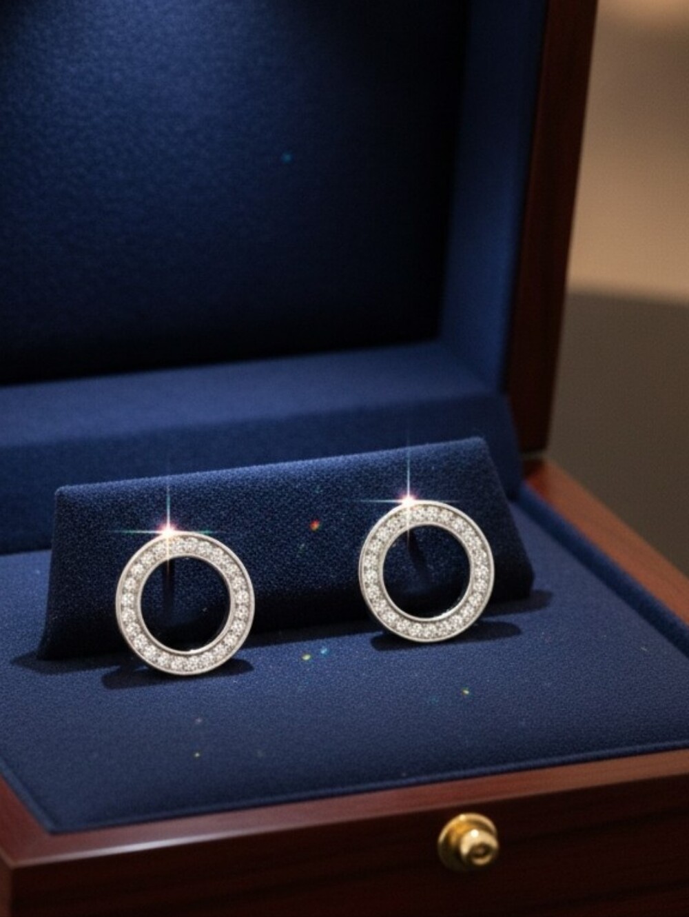 Elegant 925 Silver Circle Earrings